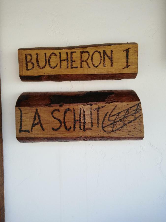 Le Gite Du Bucheron Dabo Extérieur photo